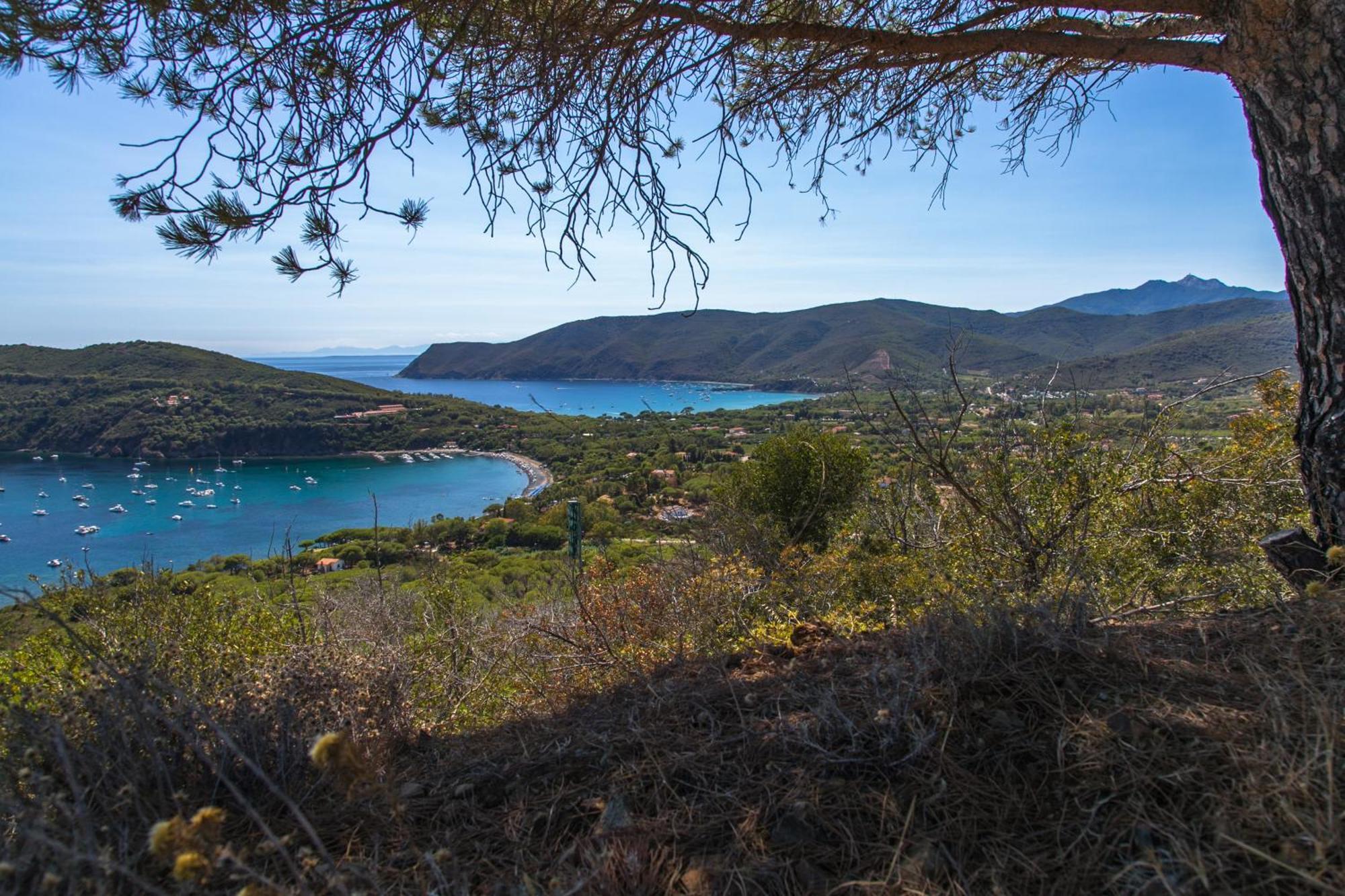 Residence Il Mandorlo Lacona Εξωτερικό φωτογραφία